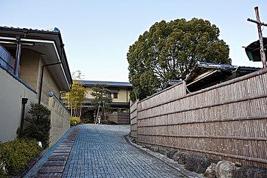 《漫漫长夜》资料片“遥远的领土”发售 分阶段进行更新